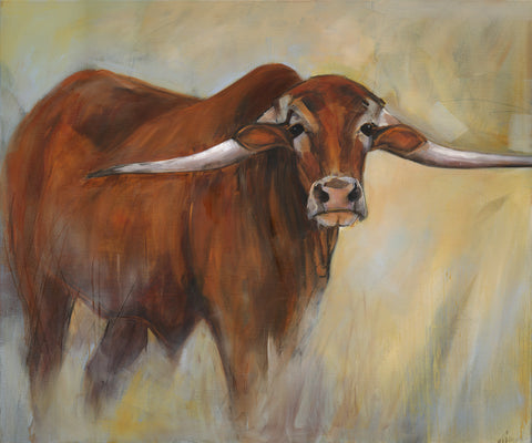 Afrikaner Cow - Sandstones Estates SA